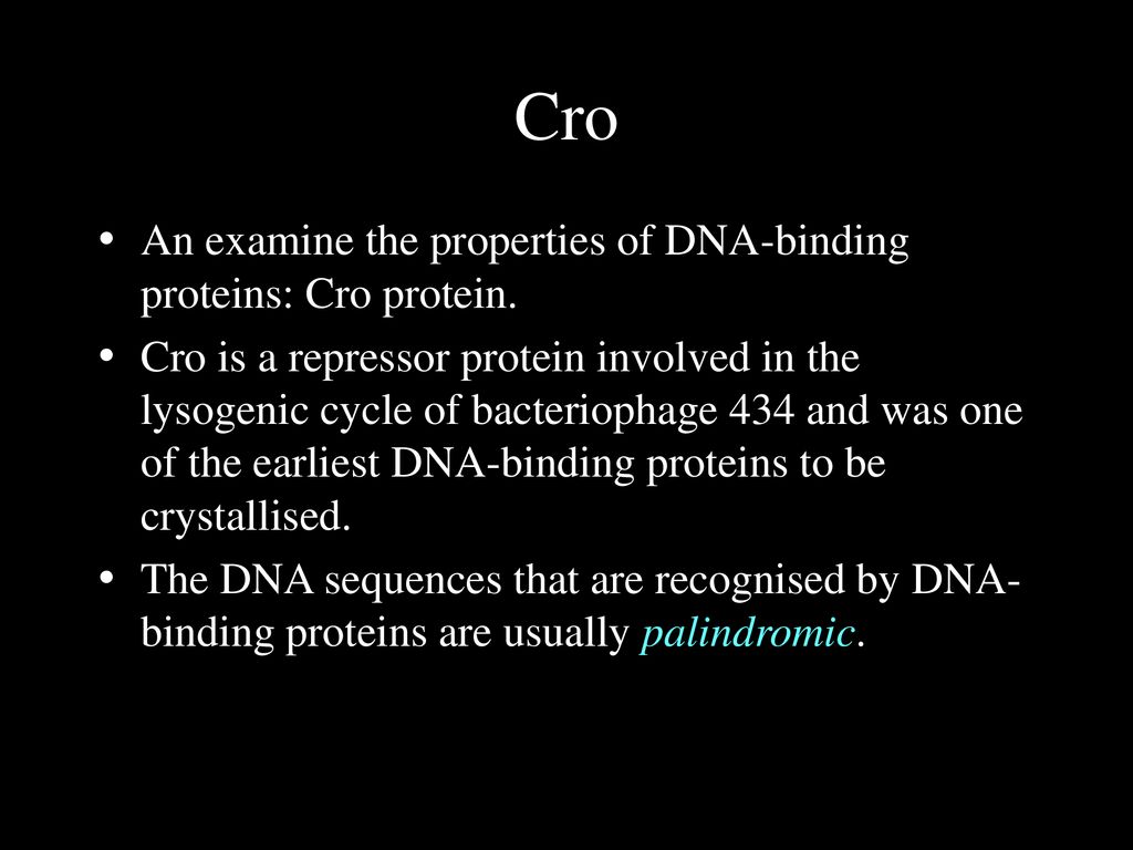 Dna binding motifs ppt deals